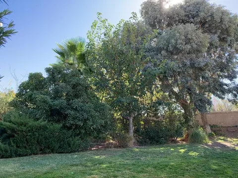 42004 Ash Ct, Lancaster, CA 93536 photo 27