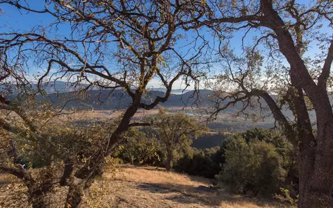 25301 Deertrail Dr, Tehachapi, CA 93561 photo 46