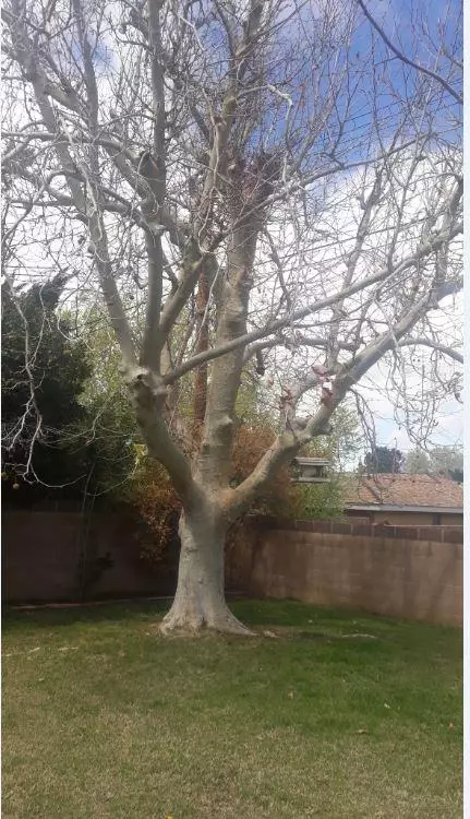 525 W Ave J 10, Lancaster, CA 93534 photo 9