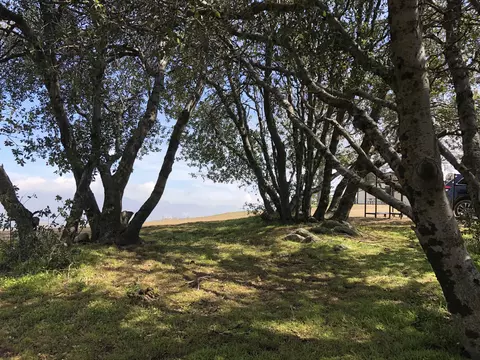 18259 Alps St, Tehachapi, CA 93561 photo 37