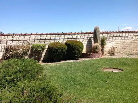 3021 Cromwell Ave, Mojave, CA 93501 photo 36