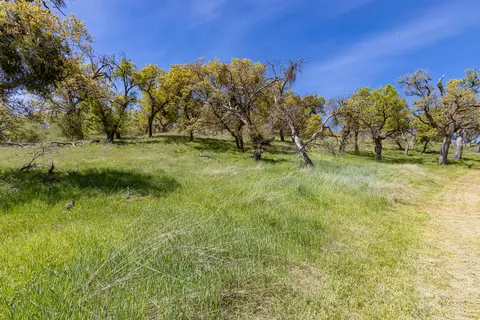 24180 Woodbine Ct, Tehachapi, CA 93561 photo 48