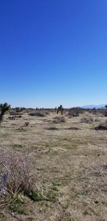 53 Rd St E Avenue Q8, Palmdale, CA 93550 photo 5