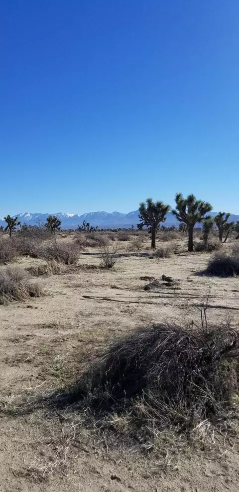 53 Rd St E Avenue Q8, Palmdale, CA 93550 photo 2