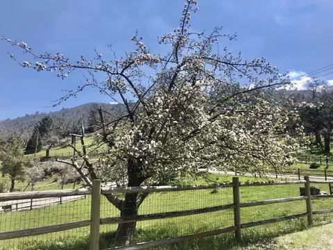 30231 Sunland Way, Tehachapi, CA 93561 photo 51