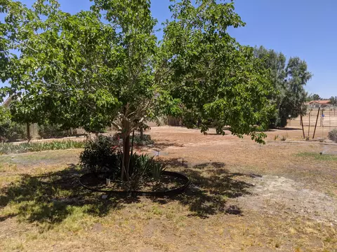 41742 158th St, Lancaster, CA 93535 photo 12
