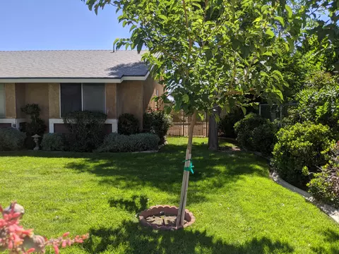 41742 158th St, Lancaster, CA 93535 photo 5