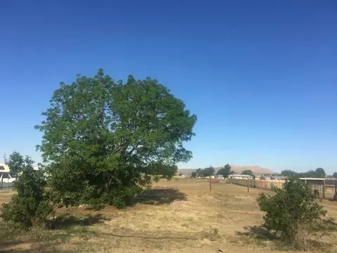 40933 E 161st St, Lancaster, CA 93535 photo 17
