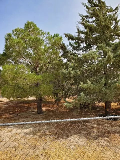 25363 Kargat St, Lancaster, CA 93536 photo 54