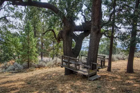 26601 Stirrup Way, Tehachapi, CA 93561 photo 46