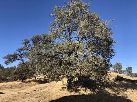 21092 Jury Ranch Dr, Tehachapi, CA 93561 photo 50