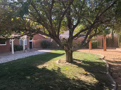 3041 Willowbrook Ave, Palmdale, CA 93551 photo 30