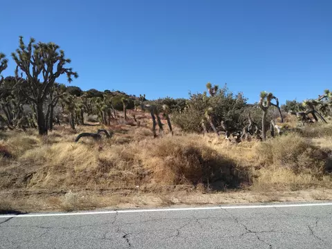 Longview Rd S/o Old Homestead, Juniper Hills, CA 93543