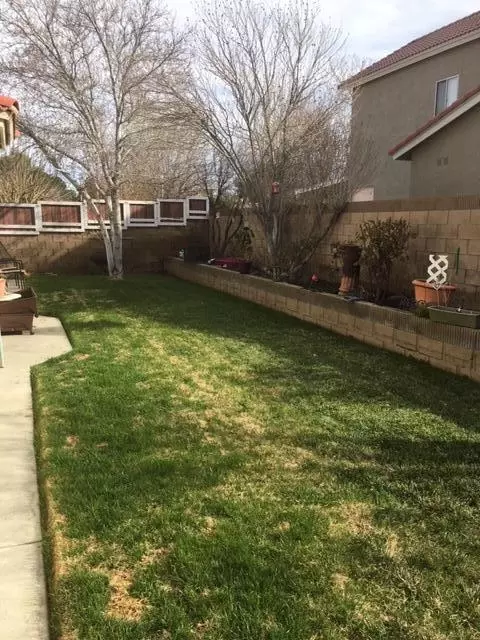 1732 Michael Dr, Lancaster, CA 93535 photo 14