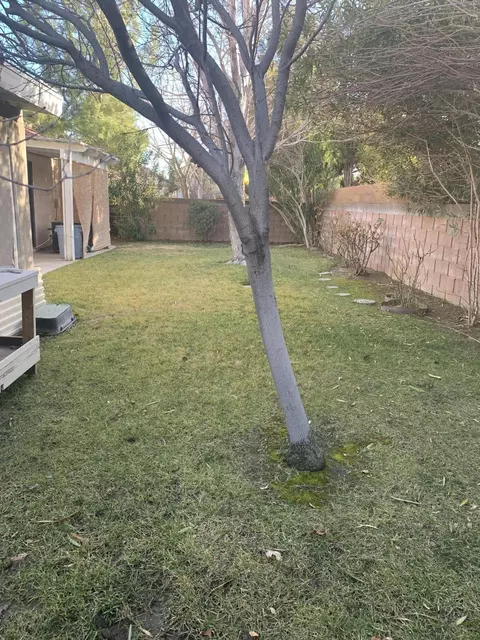 44333 Fenner Ave, Lancaster, CA 93536 photo 12