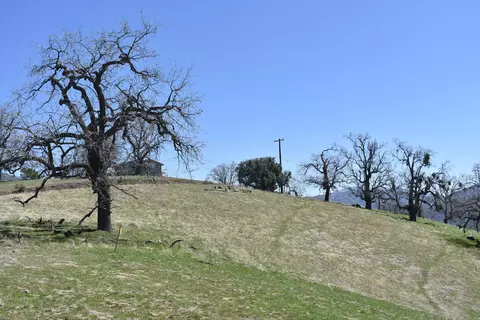 28451 Deertrail Dr, Tehachapi, CA 93561 photo 19