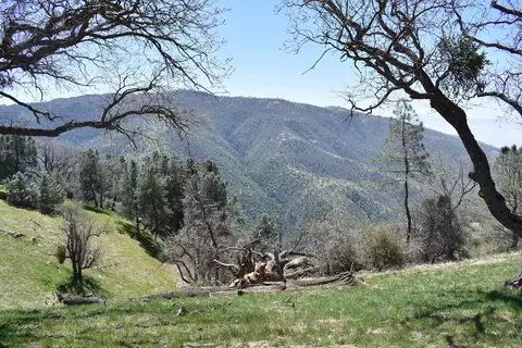 28451 Deertrail Dr, Tehachapi, CA 93561 photo 3