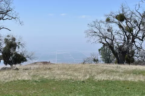 28451 Deertrail Dr, Tehachapi, CA 93561 photo 29