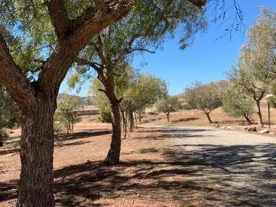 4837 Shannon View Rd, Acton, CA 93510 photo 20