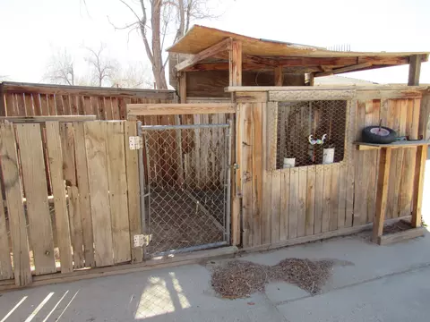 41026 166th St, Lancaster, CA 93535 photo 24