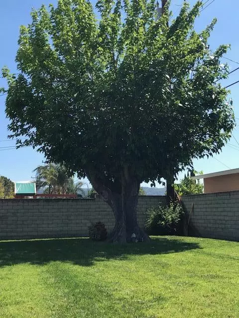 1851 Barnes St, Simi Valley, CA 93063 photo 9