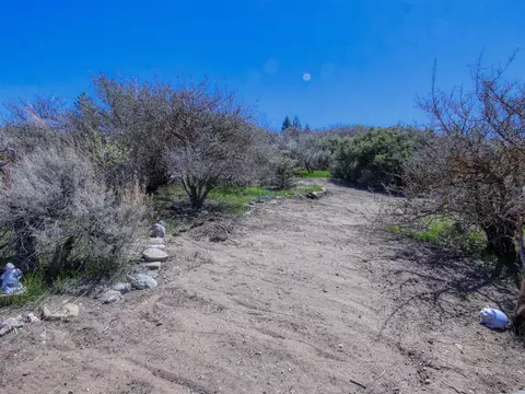 24121 El Rancho Dr, Tehachapi, CA 93561 photo 32
