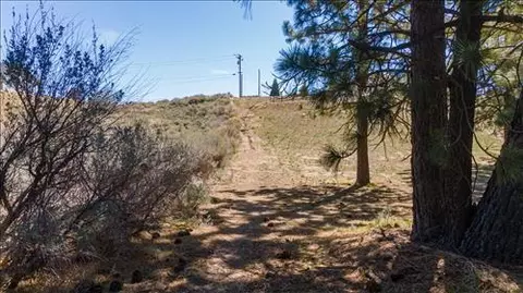 25641 Territory Way, Tehachapi, CA 93561 photo 4