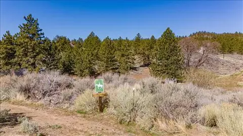 25641 Territory Way, Tehachapi, CA 93561 photo 3