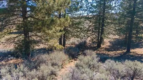 25641 Territory Way, Tehachapi, CA 93561 photo 5