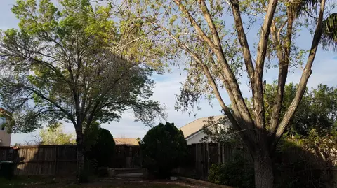 39512 Vicker Way, Palmdale, CA 93551 photo 44