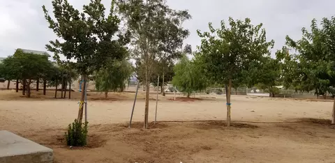 34038 113 Th St E St E, Littlerock, CA 93543 photo 53