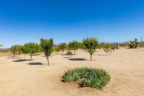 8848 49th St W, Mojave, CA 93501 photo 43
