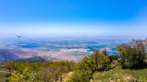 27110 Deertrail Dr, Tehachapi, CA 93561 photo 37