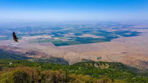 27110 Deertrail Dr, Tehachapi, CA 93561 photo 40