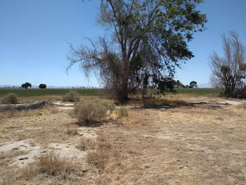 Vicinity Ave I-2 & 97th St E., Lancaster, CA 93535 photo 5