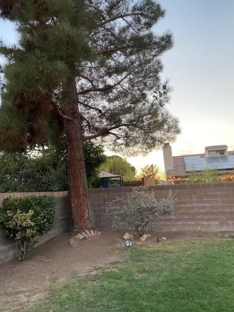 44009 Shad St, Lancaster, CA 93536 photo 3
