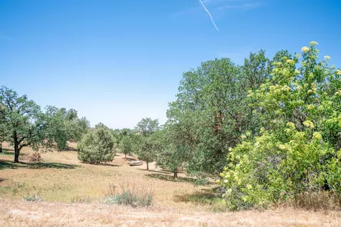 29151 Peregrine Pl, Tehachapi, CA 93561 photo 46