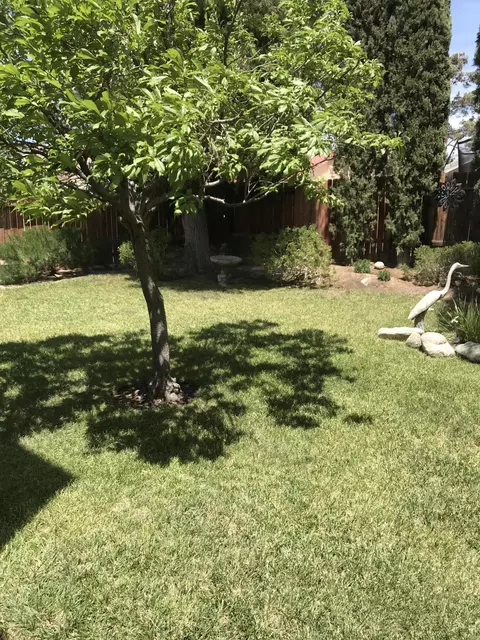38132 53rd St E, Palmdale, CA 93552 photo 33