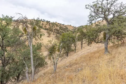 23509 Bertram Cir, Tehachapi, CA 93561 photo 50