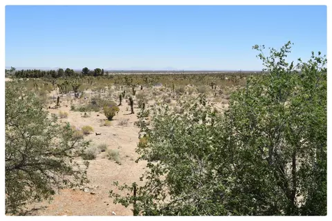 32890 223rd St E, Llano, CA 93544 photo 23