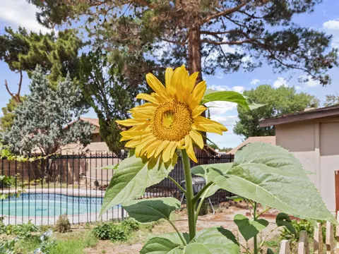 42871 Sachs Dr, Lancaster, CA 93536 photo 41