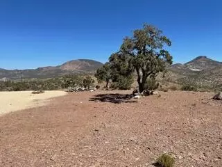 9550 Tanganda Rd, Tehachapi, CA 93561 photo 10