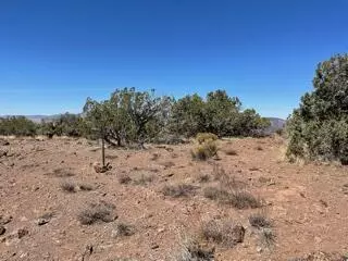 9550 Tanganda Rd, Tehachapi, CA 93561 photo 16