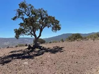 9550 Tanganda Rd, Tehachapi, CA 93561 photo 13