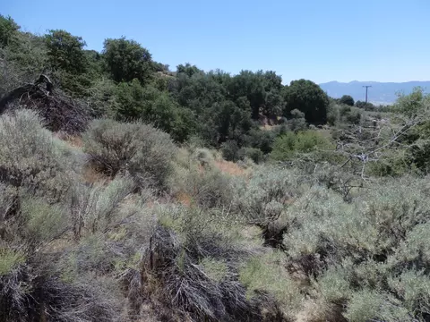 25170 Paramount Dr, Tehachapi, CA 93561 photo 17