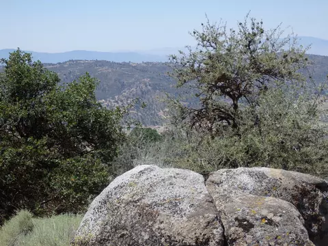 25170 Paramount Dr, Tehachapi, CA 93561 photo 11