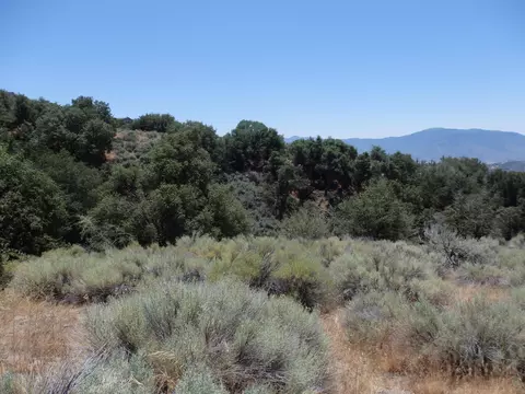 25170 Paramount Dr, Tehachapi, CA 93561 photo 12
