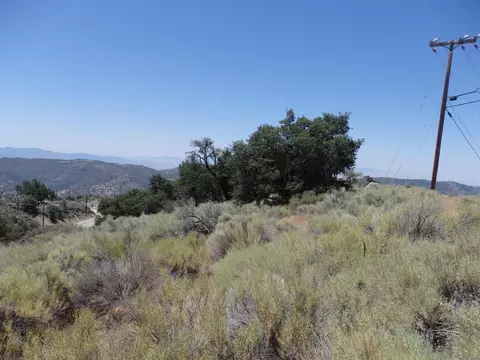 25170 Paramount Dr, Tehachapi, CA 93561 photo 13