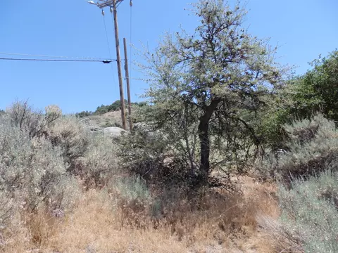 25170 Paramount Dr, Tehachapi, CA 93561 photo 16