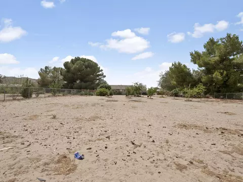 40312 166th St E, Palmdale, CA 93591 photo 27
